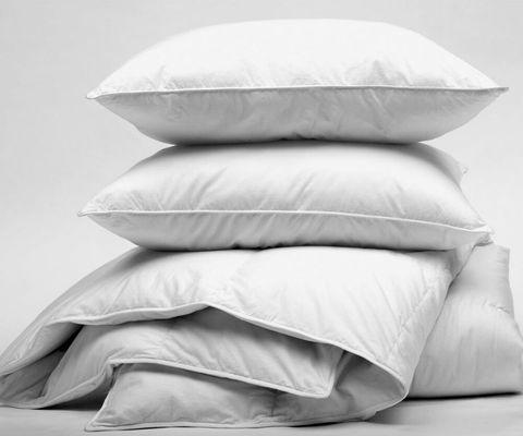 Pillow, Duvet Inserts and Pillow Protector