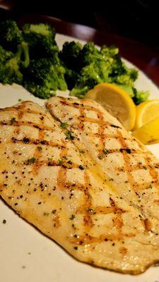 Grilled Trout