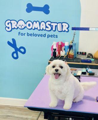 #groomaster