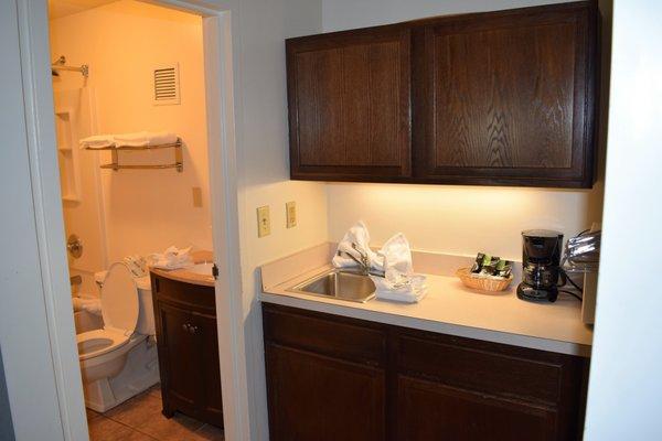 Deluxe Cabinet and Bath Area