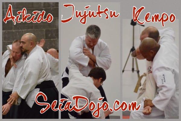 Jujutsu, Aikido, Kempo