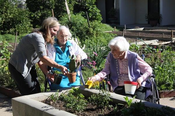 Residents in the Plymouth Garden