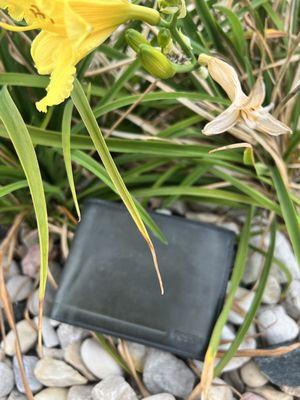 Hubs dk green Fossil wallet