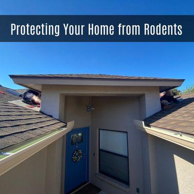 To prevent rodents (rats, mice & squirrels) from entering your home,  seal up the areas which can allow for rodent entry.