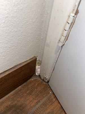 Rodent hole stuffed with toilet paper