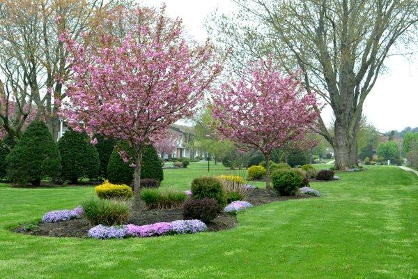 Alternate View of Cherry Tree Court