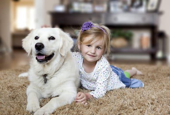 Jake's Certified Air Duct & Carpet Cleaning