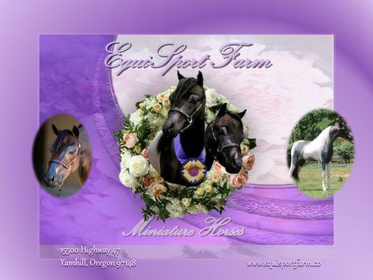 Visit our website at www.equisportfarm.co