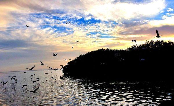 Sunset Airboat Tours are Pure Amazing... #visitflorida #discovercrystalriver #captaintim