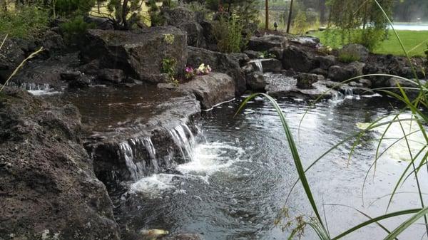 Backyard water feature