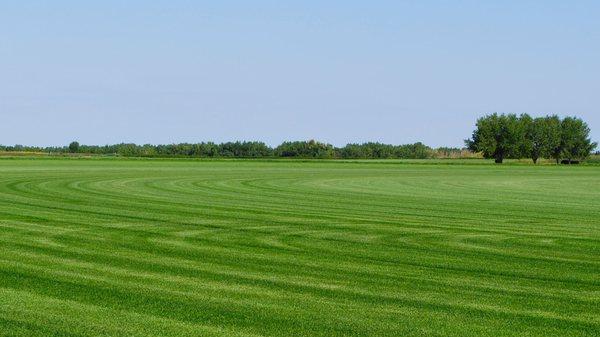 Graff's Turf Sod Farm in Summer