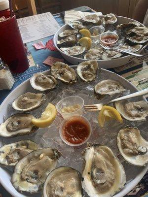 2 dozen delicious oysters