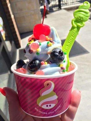 Menchie's Frozen Yogurt