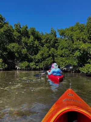 Island Kayak Tours