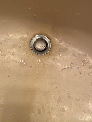 The sink was super dirty and had bad stains all in it.