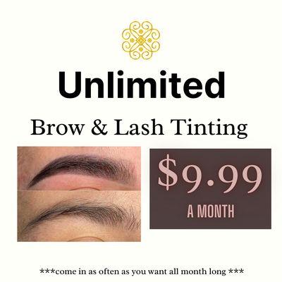 Sign up for our amazing Eyebrow and lash ting membership!