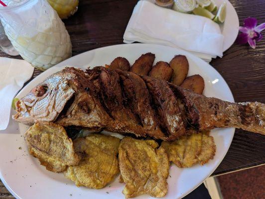 Whole fried red snapper with tostones and sweet plantains.