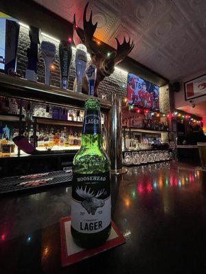 Moosehead under the Moose Head