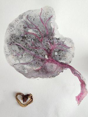 placenta print and dried cord keepsake