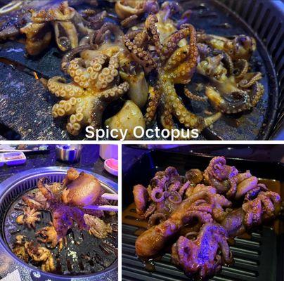 Spicy Octopus ~ nicely spiced. yum ~