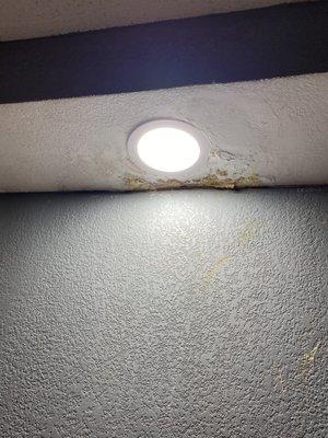 Damage to ceiling and weird stains on the walls.