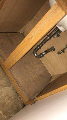 Water damage under sinks; boards warped, uneven, and MOLDING (giving the roaches a great home with a water source).