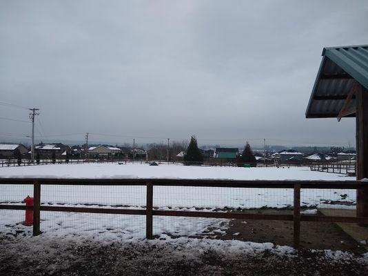 The size and items in the larger closed off seasonal (spring/summer) dog park section.