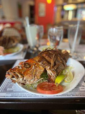 Fried Snapper