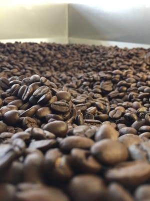 A batch of freshly roasted Private Reserve coffee sits in our packaging hopper.