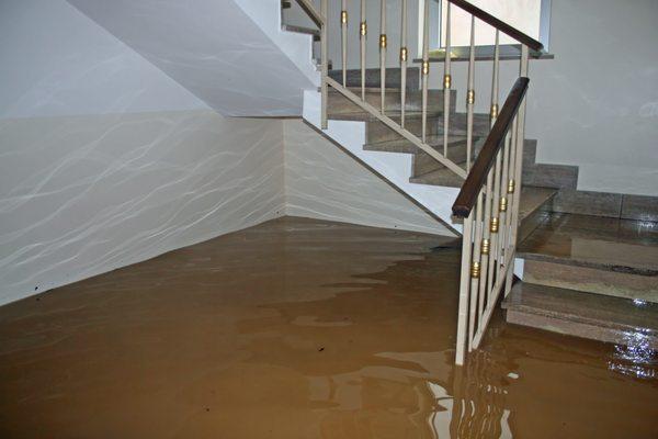 We represent policyholders with water damage claims.