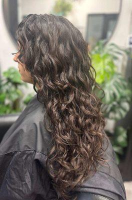 Curly Cut Reset