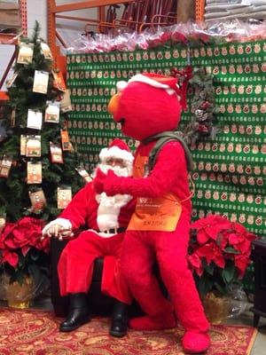 Santa and Elmo at Home Depot.