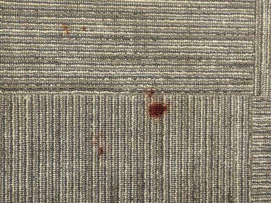 Stains in carpet (blood??)