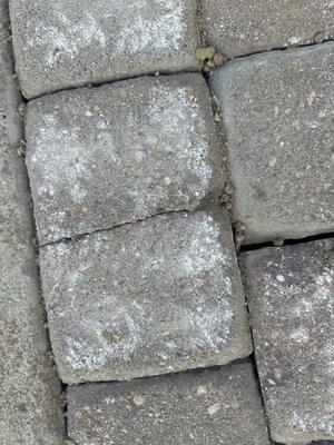 Damage to paver stones