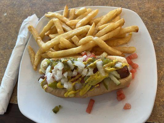 Chicago dog with fried: scattered tomatoes add artistic flair to the presentation