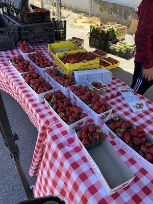 Some beautiful Strawberries, I picked up a box of 3 from Urban Organics