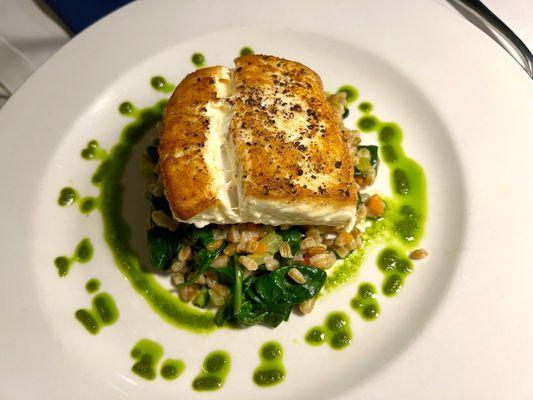 Halibut