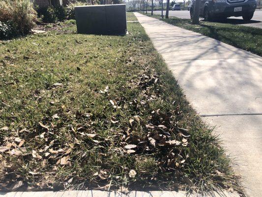 Yesterday, someone blew the leaves with a leaf blower from the sidewalk to my lawn and left.