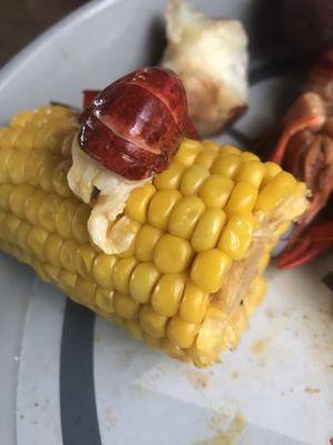 Crawfish and corn, yum!