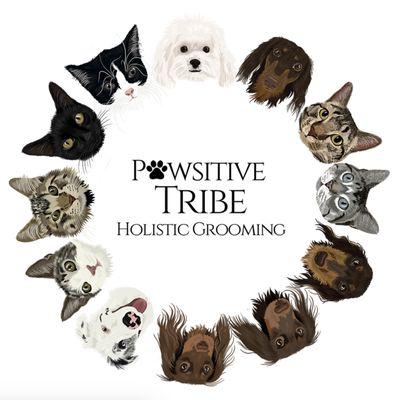 Pawsitive Tribe Holistic Grooming