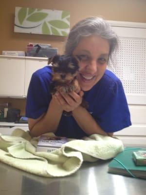 Dr. Gallegos was AMAZING with my teacup yorkie, Bailey. 10/12/13