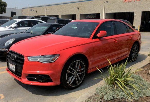 2018 Audi S6 - Body Fence // Hexis Clear bra: Full bumper, hood, fenders, mirrors, & lights