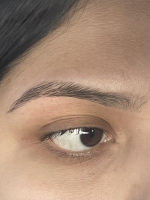 Messed up the front top of my brows