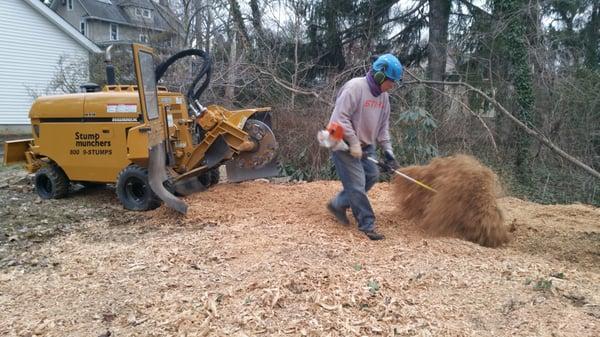 Stump Munchers stump removal services. Power broom clean-up for even the biggest of jobs is no problem for us.