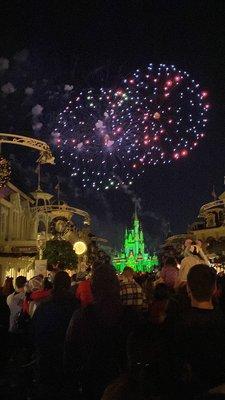 Main Street Electrical Parade