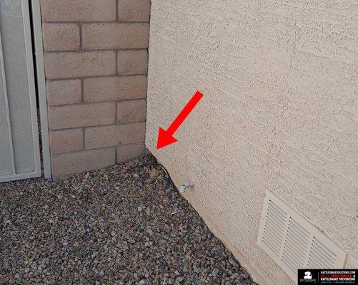 Tucson Snake Removal