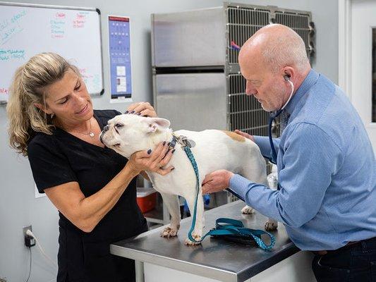 Dr Schoolmeester and vet tech, Brandee performing a yearly exam.