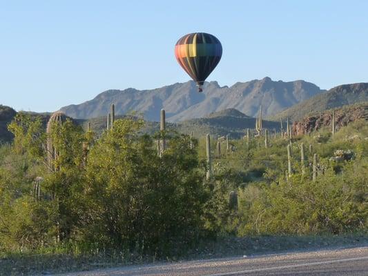 Saguaro National Park West