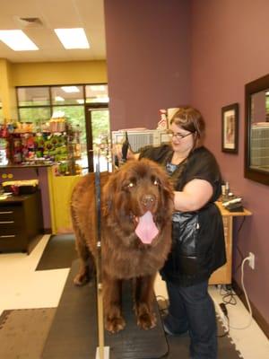 Happy Newfoundland. .