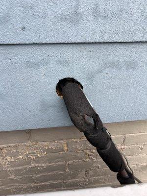 Rodent entry point from an AC line